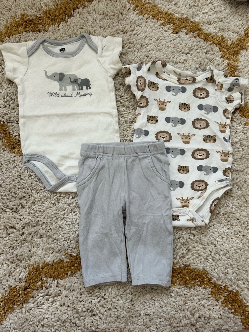 Neutral Safari Baby Matching Set - 2 Onesies & Gray Pants